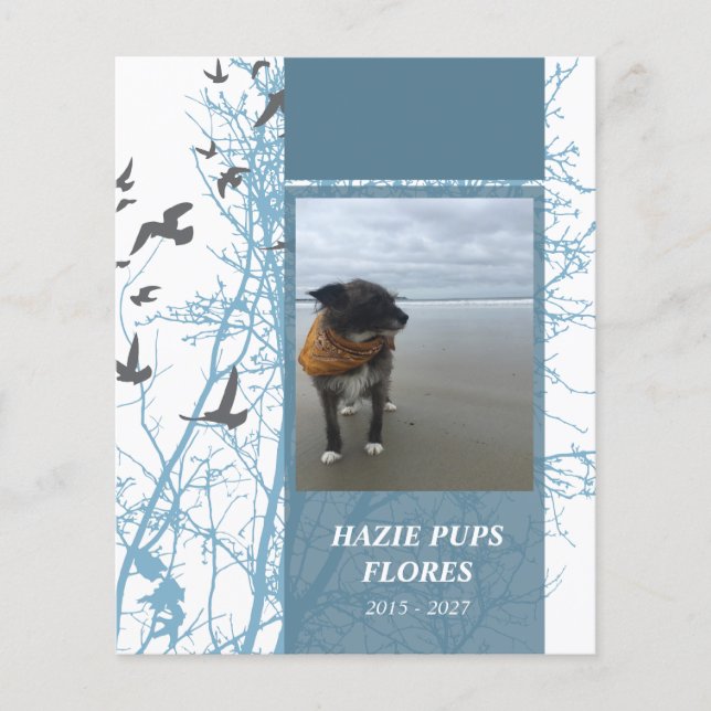 minneskort för silhuskärmfåglar (Framsida)