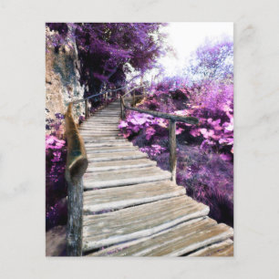 minneskortswisteria trappor