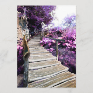 minneskortswisteria trappor program