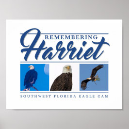 Minnesmärket Harriet SWFL Eagle Cam Wall Poster