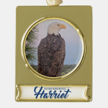 Minnesnamn till Harriets Ornament