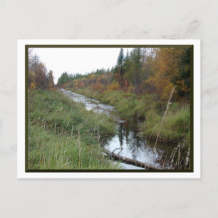 Minnesota Bäck/höstvykort Vykort