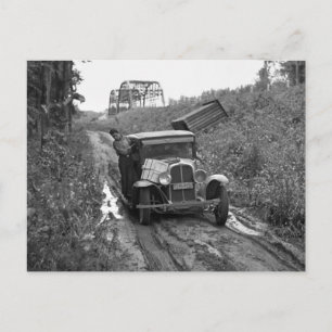 Minnesota Blueberry Pickers, 1937 Vykort