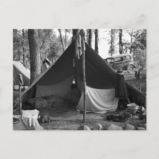 Minnesota Blueberry Pickers, 1937 Vykort (Framsida)