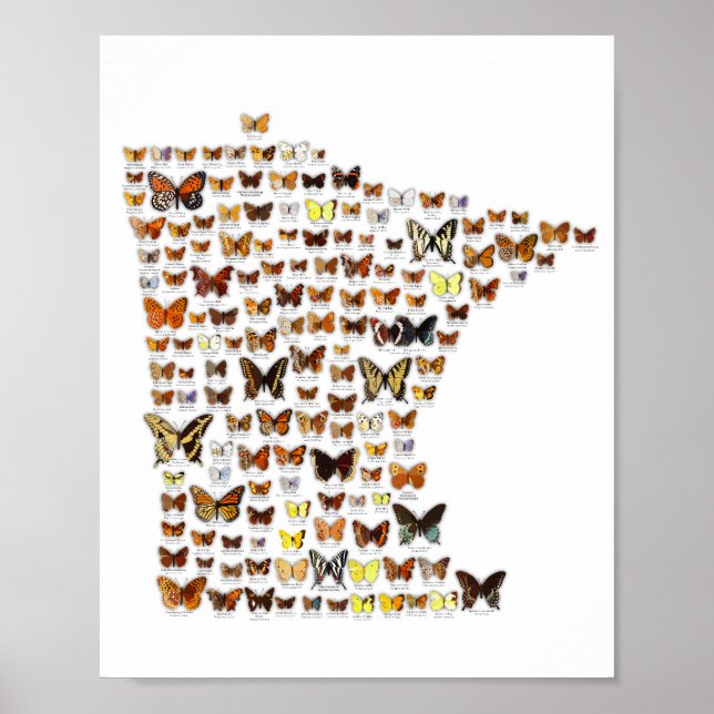Minnesota Butterflies Poster (Framsidan)
