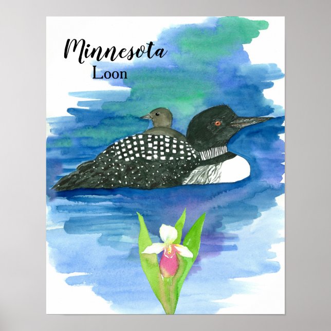 Minnesota Common Loon Baby Bird Vatten Poster (Framsidan)