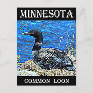 Minnesota Common Loon Vykort