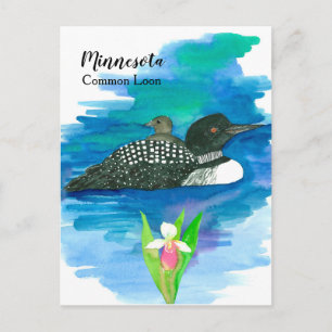 Minnesota Common Loon Watercolor Sjö Vykort