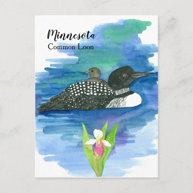 Minnesota Common Loon Watercolor Sjö Vykort (Framsida)