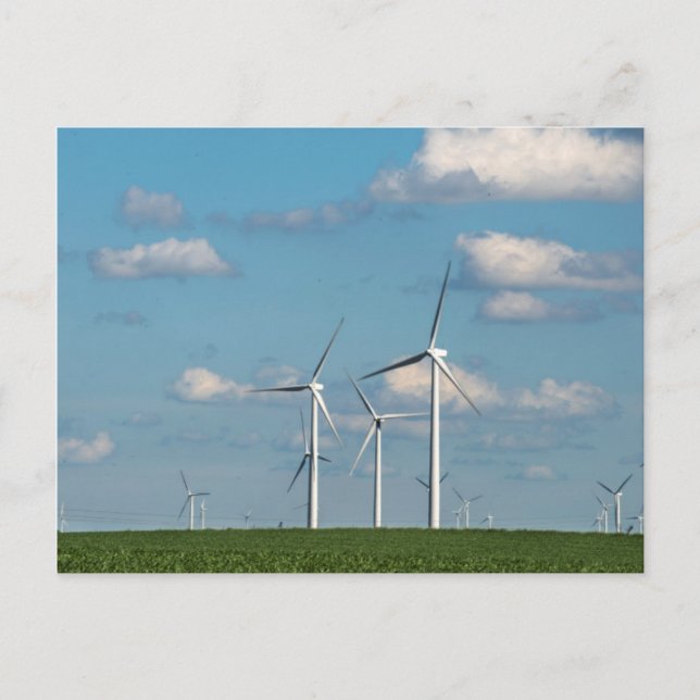 Minnesota, Dexter, Grand Meadow Vind Farm 2 Vykort (Framsida)