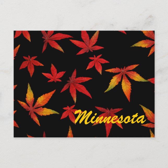 Minnesota Höst löv vykort (Framsida)