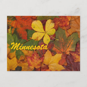 Minnesota Höst löv vykort