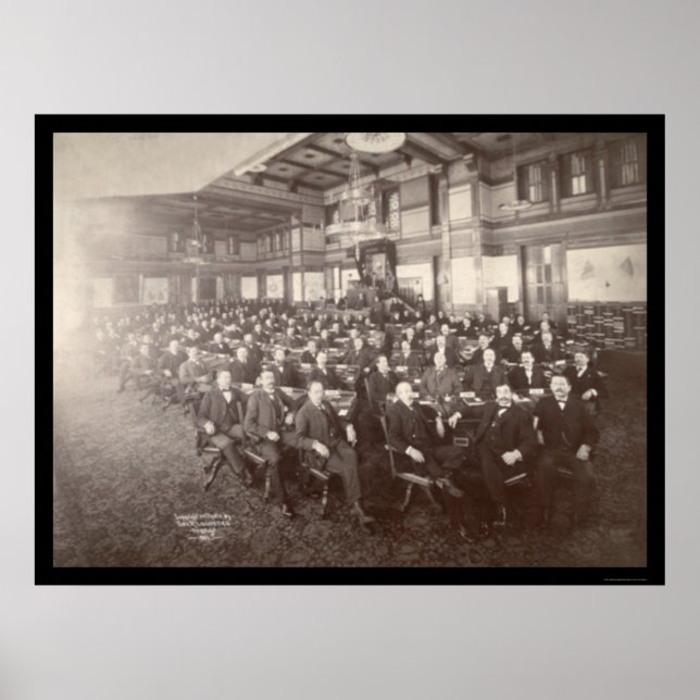 Minnesota House Reps Photo 1901 Poster (Framsidan)