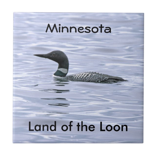 Minnesota land av loonen kakelplatta (Framsidan)