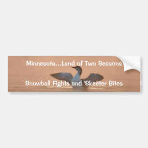 Minnesota… land av två säsonger bildekal