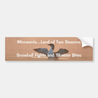 Minnesota… land av två säsonger bildekal
