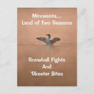 Minnesota...Land två Seasons Vykort
