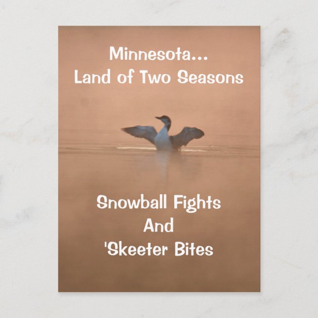 Minnesota...Land två Seasons Vykort (Framsida)