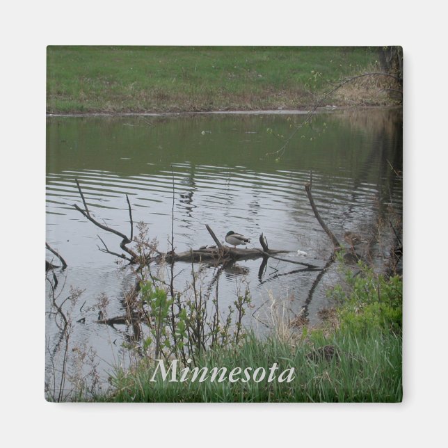 Minnesota Magnet (Framsidan)