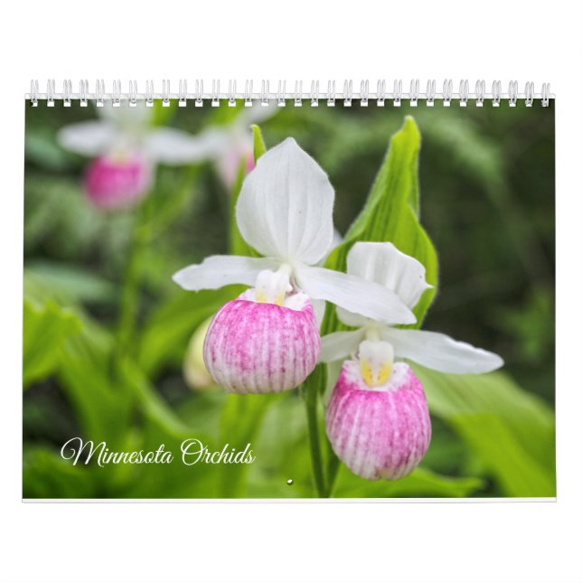 Minnesota Orchidskalender Kalender (Omslag)