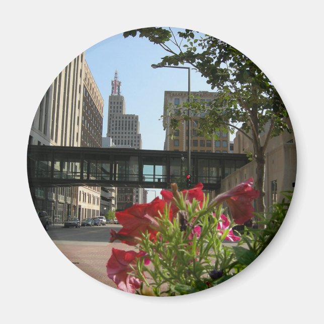 Minnesota, S:t Paul-kylmagnet Magnet (Framsidan)