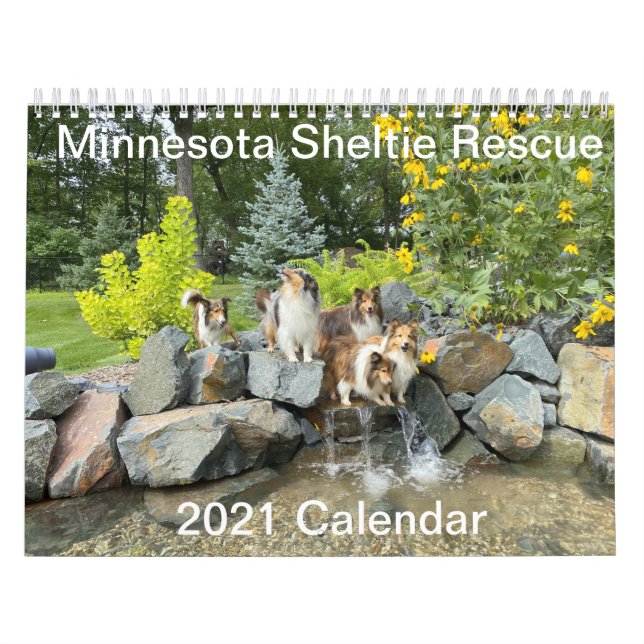 Minnesota Sheltie Rädding 2021 Kalender (Omslag)
