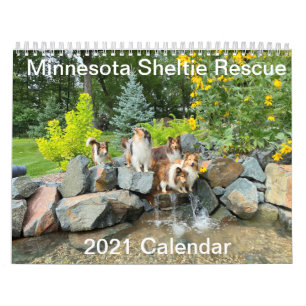 Minnesota Sheltie Rädding 2021 Kalender