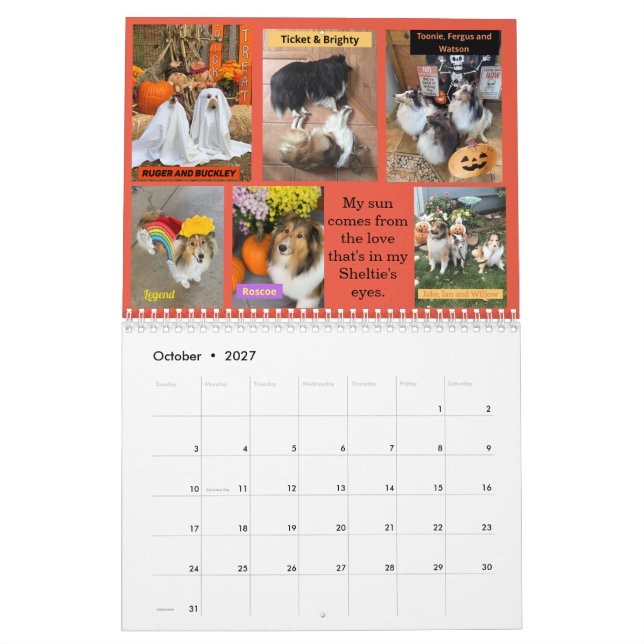 Minnesota Sheltie Rädding 2022 Kalender (Oct 2027)