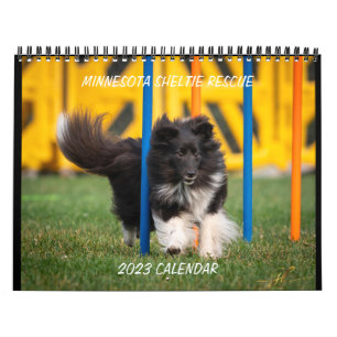 MINNESOTA SHELTIE RÄDDING 2023 CALENDAR KALENDER