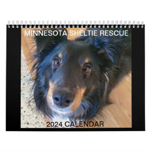 MINNESOTA SHELTIE RÄDDING 2024 CALENDAR KALENDER