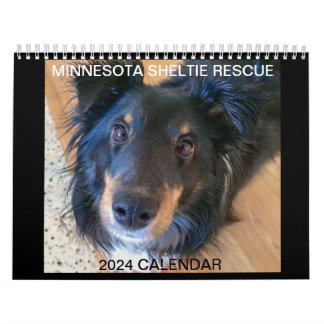 MINNESOTA SHELTIE RÄDDING 2024 CALENDAR KALENDER