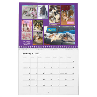 Minnesota Sheltie Rädding Calendar 2025 Kalender
