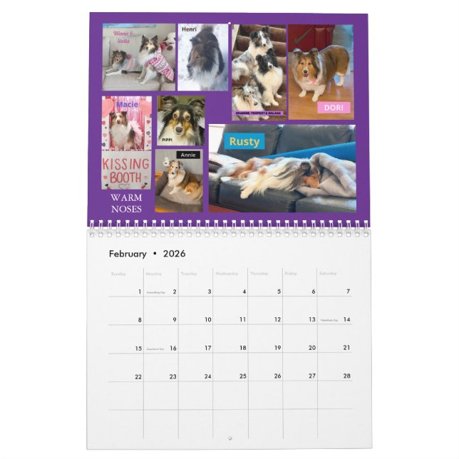 Minnesota Sheltie Rädding Calendar 2025 Kalender (Feb 2026)