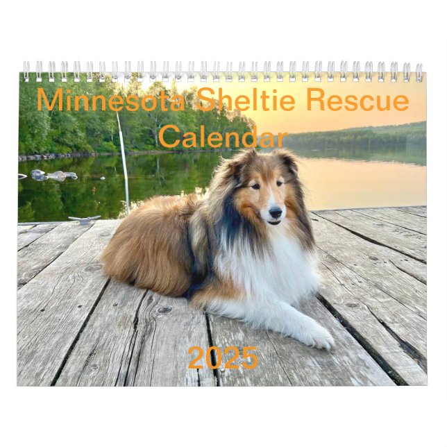 Minnesota Sheltie Rädding Calendar 2025 Kalender (Omslag)