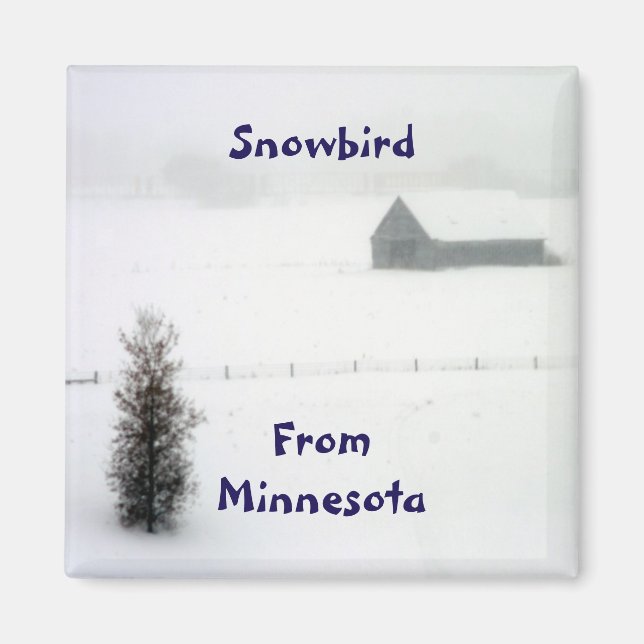 Minnesota Snowbird Magnet (Framsidan)