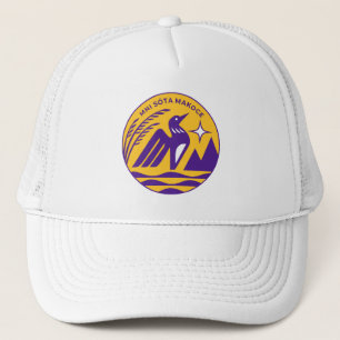 Minnesota State Seal in Vikings Färg Keps