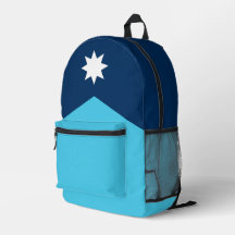 Minnesota Statlig flagga