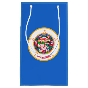 Minnesota Statlig flagga Design