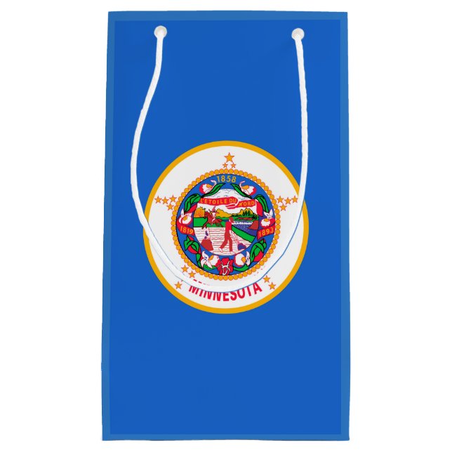 Minnesota Statlig flagga Design (Framsidan)