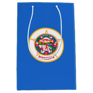 Minnesota Statlig flagga Design