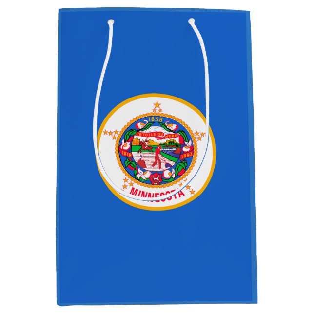 Minnesota Statlig flagga Design (Framsidan)