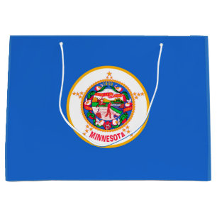 Minnesota Statlig flagga Design