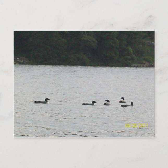 Minnesota vykort (Framsida)