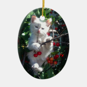 Minnessaker Familj Katt 1 Sidor Foto Julgransprydnad Keramik