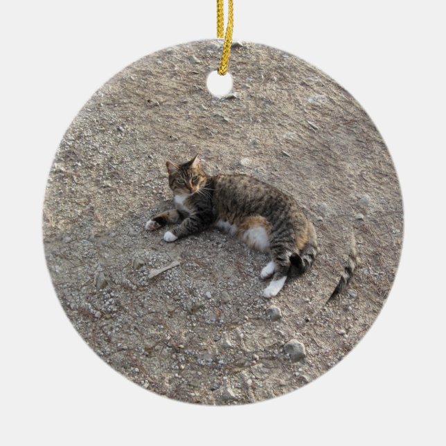 Minnessakprydnad: Tabby katt med vitfot Julgransprydnad Keramik (Framsidan)