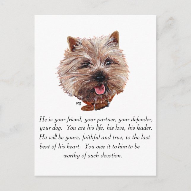 Minnesskötsel Cairn Terrier - Hane Vykort (Framsida)