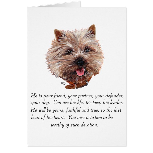 Minnessten Cairn Terrier - Hane Hälsningskort (Framsidan)