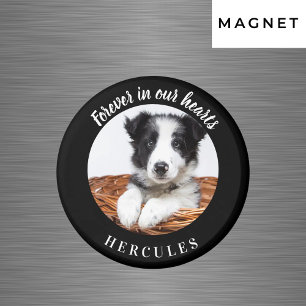 Minnessvart foto kärlek hund magnet