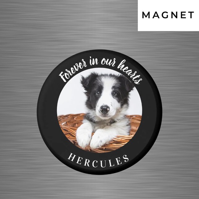 Minnessvart foto kärlek hund magnet (Skapare uppladdad)