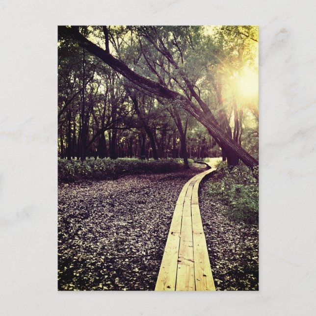 Minnesvykort för sandpunktsspårning vykort (Framsida)